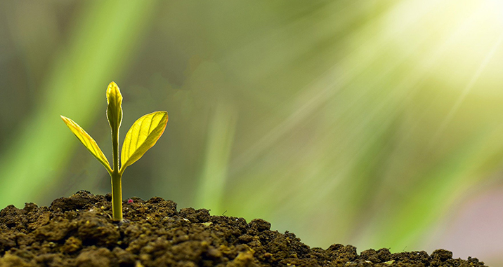 Sheng Ye Capital creates automatic pre credit extension to help small and medium-sized enterprises to raise funds efficiently