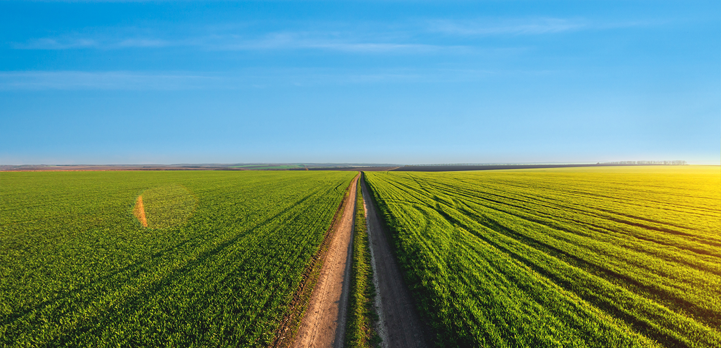Supporting Rural Revitalization