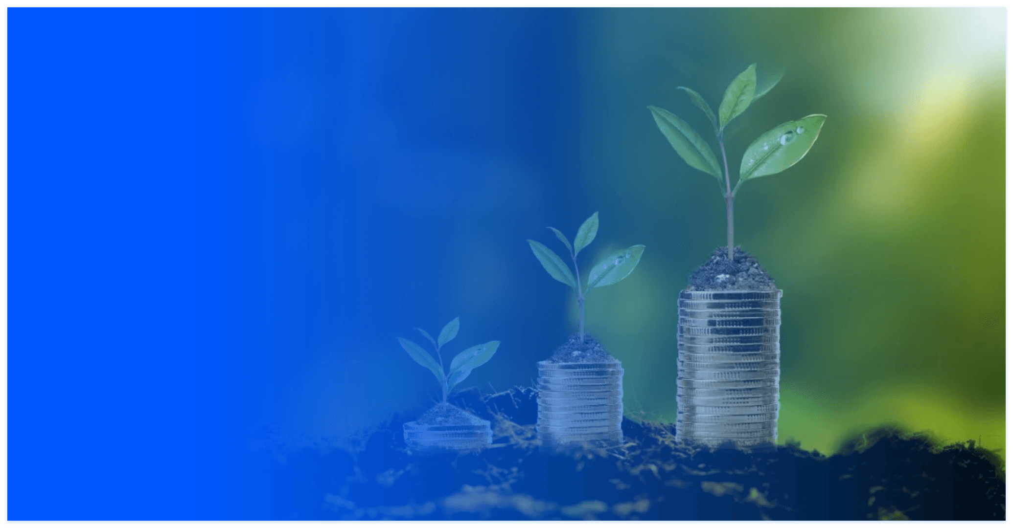 Case study – Technology empowers low-carbon transition in industrial value chains